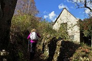 Sul CORNO ZUCCONE, guardiano della Val Taleggio, l’8 novembre 2016 - FOTOGALLERY